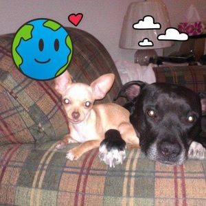 Meet your Posher, Terry